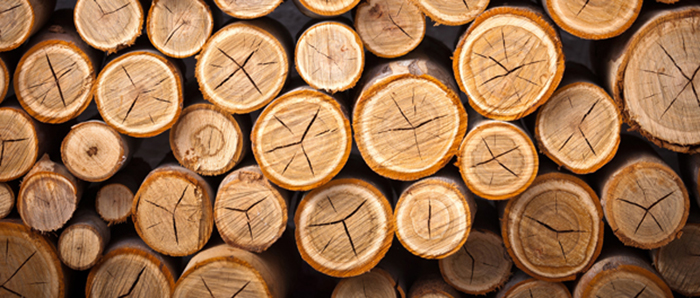Nguyên liệu gỗ cao cấp làm lịch gỗ tết 2018